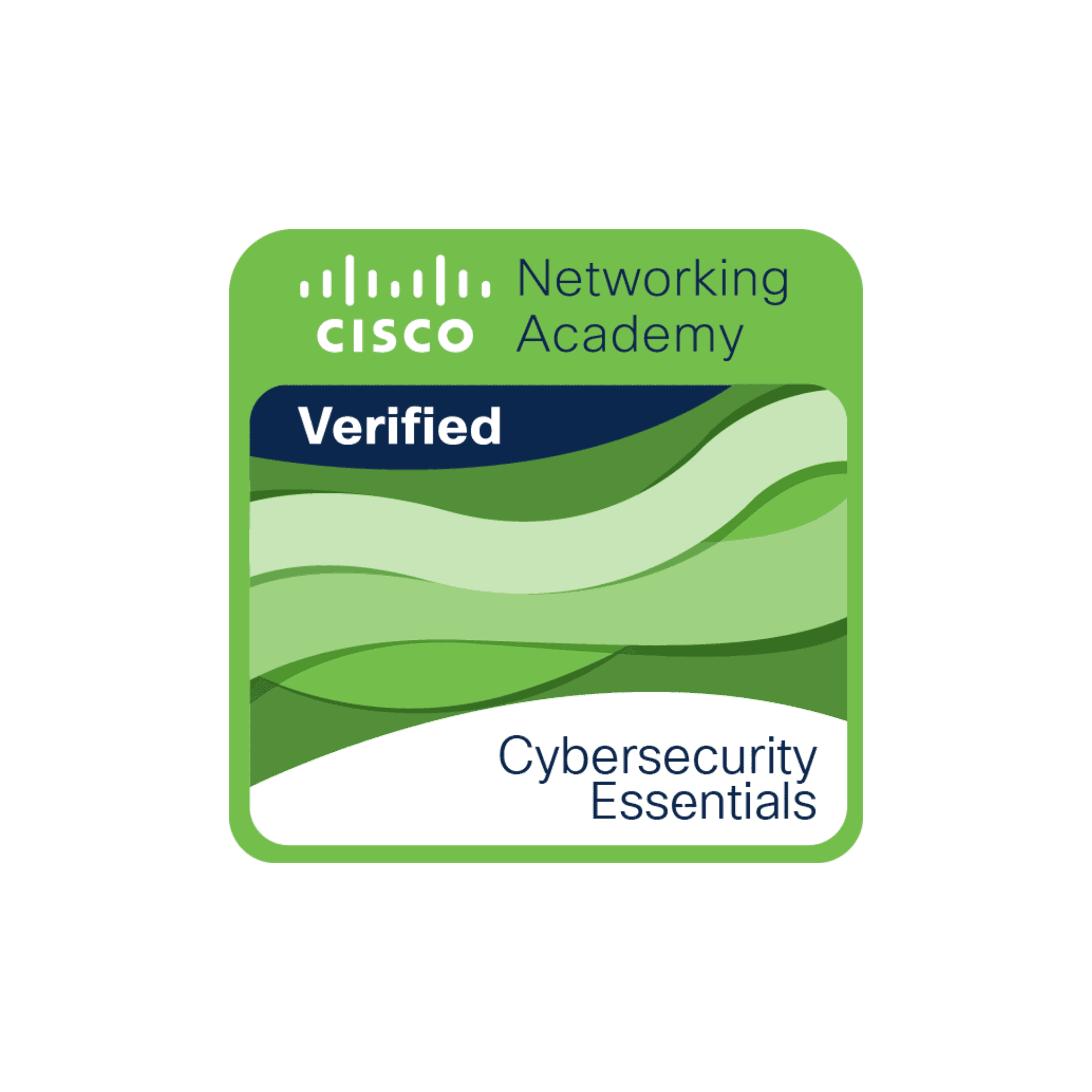 Cybersecurity Essentials